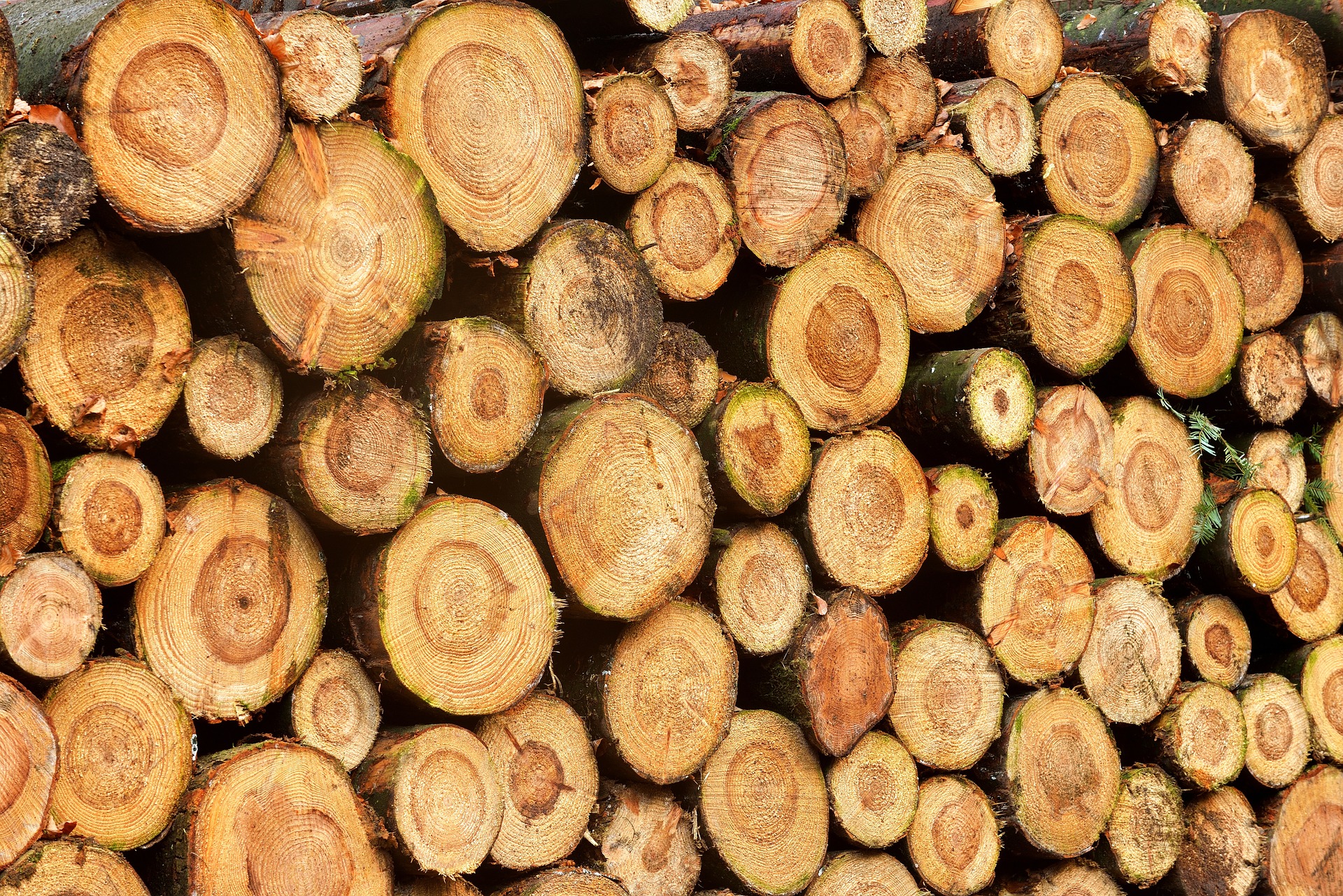 Cordwood sauna project offers cool learning opportunity